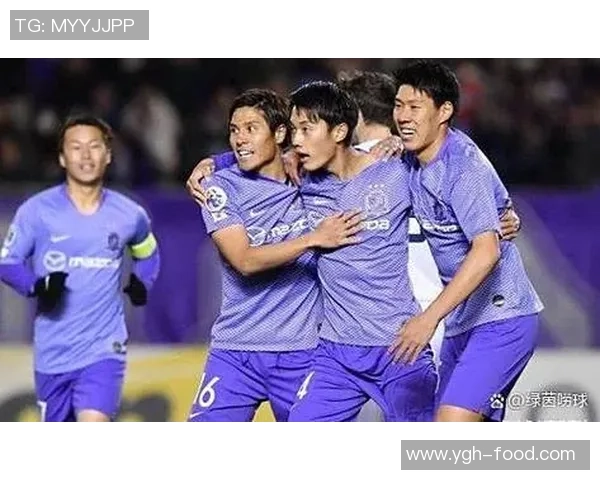 杭州足球队战术之争引发热议球迷与专家观点交锋分析