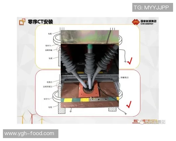 杭州排球队快攻战术深度解析与实战应用探讨