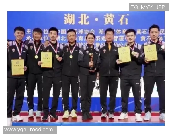 武汉乒乓球队在全国锦标赛中的团队协作表现及其对比赛结果的影响分析