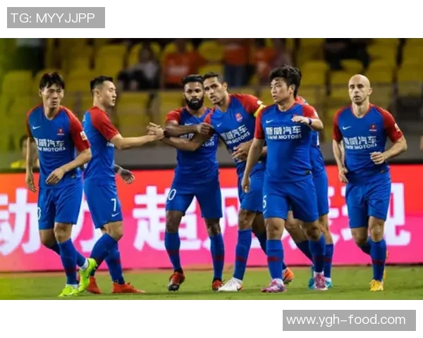 武汉网球队战术引发热议球迷与专家各执己见探讨未来发展方向