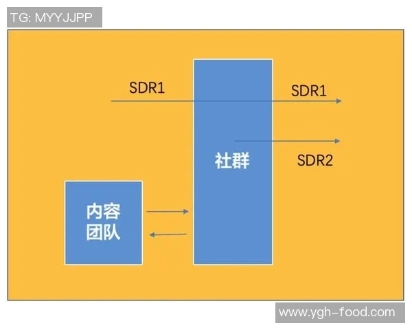 北京篮球队选拔赛点评团队协作表现分析与未来发展建议