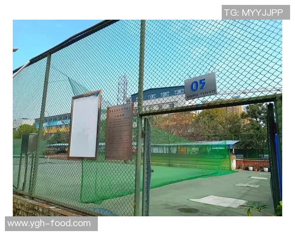 成都网球队意识争议引发热议网球运动的未来发展需重视团队精神